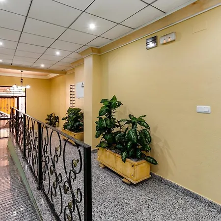 Appartement Amalia On The