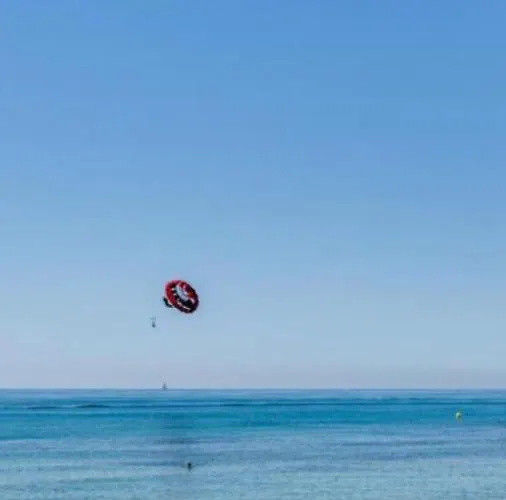 Amalia On The * Torrevieja