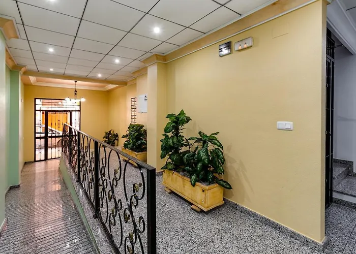 Appartement Amalia On The